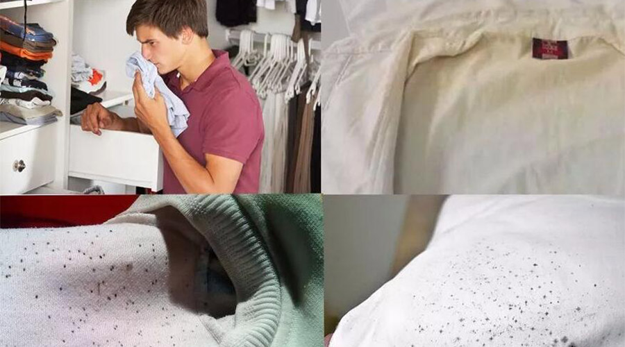 衣服護理小常識：潮濕天衣物有霉味不宜穿  該怎么辦？