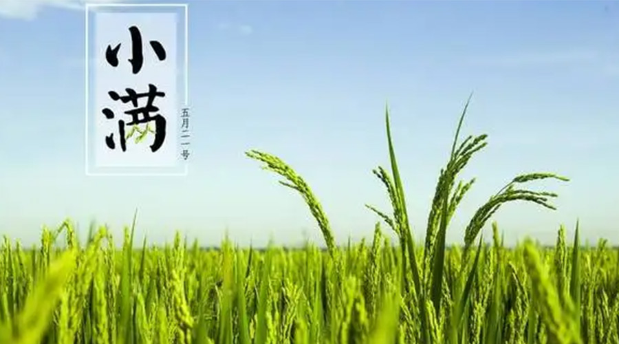 小滿(mǎn)時(shí)節(jié)！金環(huán)電器提醒大家要注意的事項(xiàng)