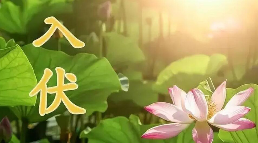 入伏天來襲！金環(huán)電器提醒大家要注意的事項