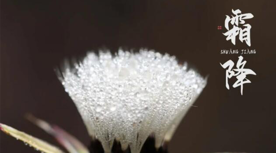 霜降時節(jié)！金環(huán)電器提醒大家要注意的事項