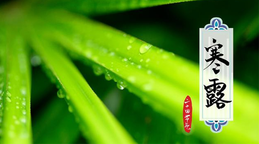 寒露時(shí)節(jié)到！金環(huán)電器提醒這些干衣事項(xiàng)要注意