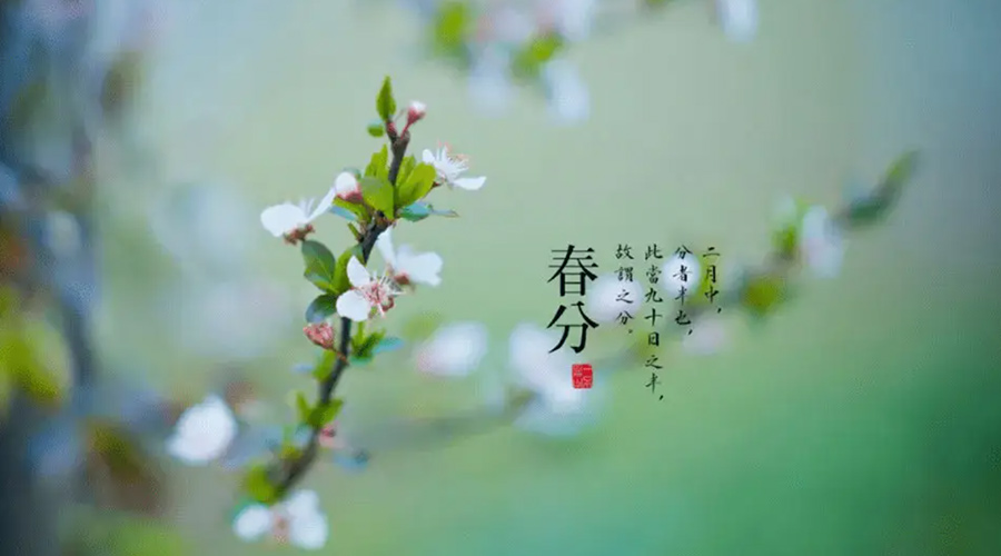 春分雨水多易生菌！金環(huán)電器提醒你衣物要注意處理