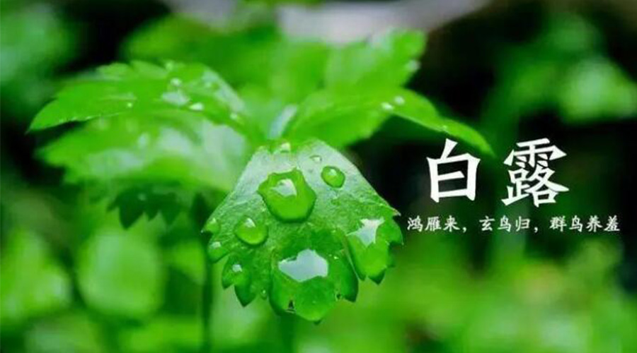 白露時(shí)節(jié)！金環(huán)電器提醒大家要注意的事項(xiàng)