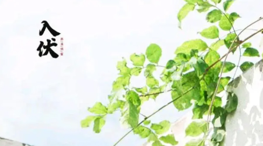 初伏時節(jié)！金環(huán)電器提醒大家要注意的事項