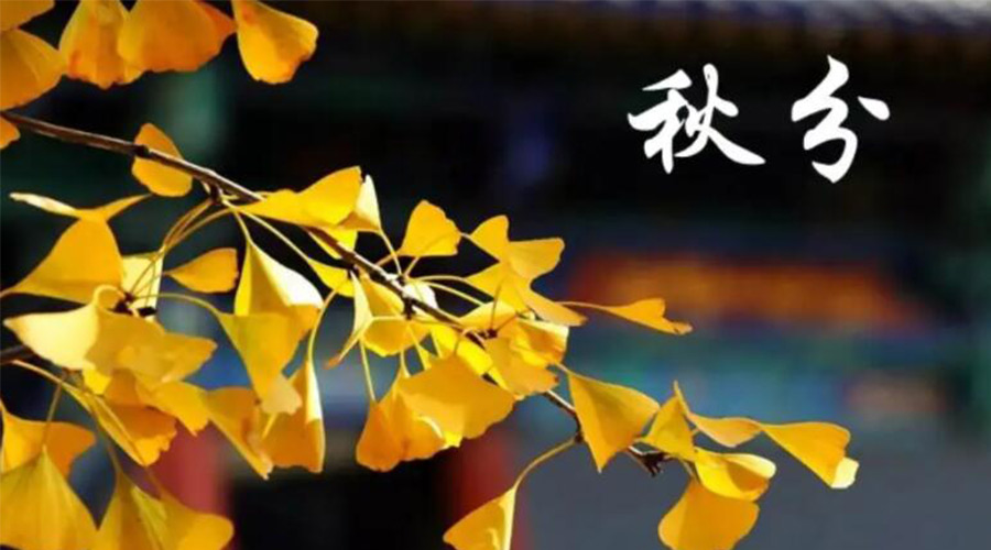 秋分時節(jié)！金環(huán)電器提醒大家要注意的事項(xiàng)