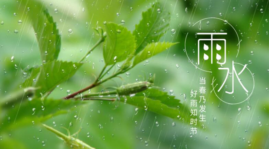 雨水時(shí)節(jié)！金環(huán)電器提醒大家要注意的事項(xiàng)